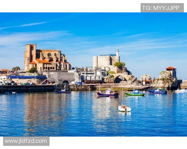 赖斯的崛起与挑战：从学术界到国际政治舞台的全景探讨