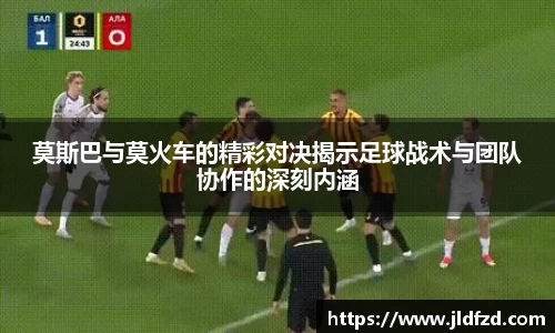 zoty中欧官网入口